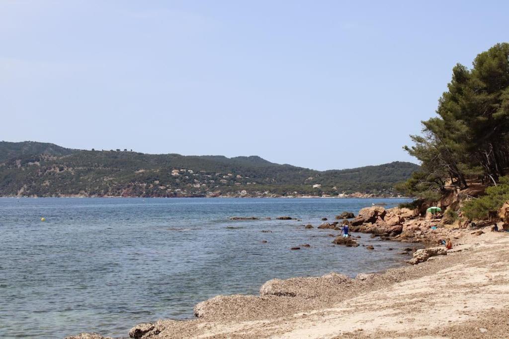 Studio L'Echappee Mandreenne Le Calme Entre Mer Et Foret Saint-Mandrier-sur-Mer Zewnętrze zdjęcie