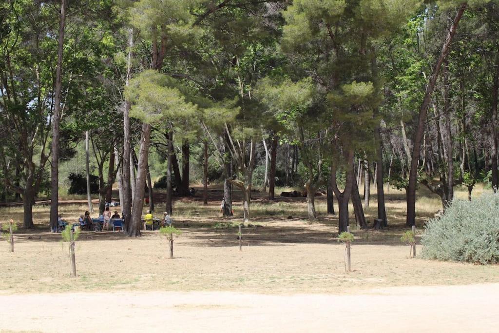 Studio L'Echappee Mandreenne Le Calme Entre Mer Et Foret Saint-Mandrier-sur-Mer Zewnętrze zdjęcie