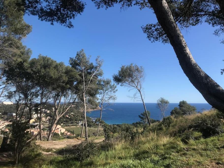 Studio L'Echappee Mandreenne Le Calme Entre Mer Et Foret Saint-Mandrier-sur-Mer Zewnętrze zdjęcie