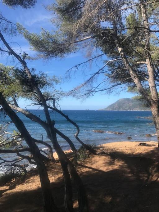 Studio L'Echappee Mandreenne Le Calme Entre Mer Et Foret Saint-Mandrier-sur-Mer Zewnętrze zdjęcie