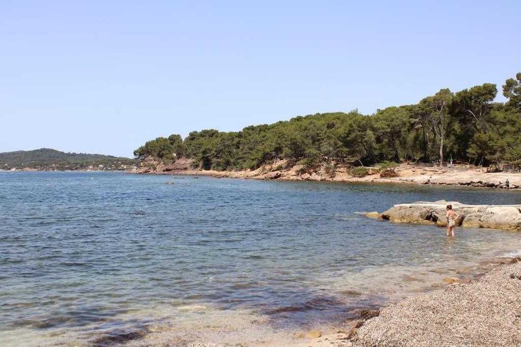Studio L'Echappee Mandreenne Le Calme Entre Mer Et Foret Saint-Mandrier-sur-Mer Zewnętrze zdjęcie