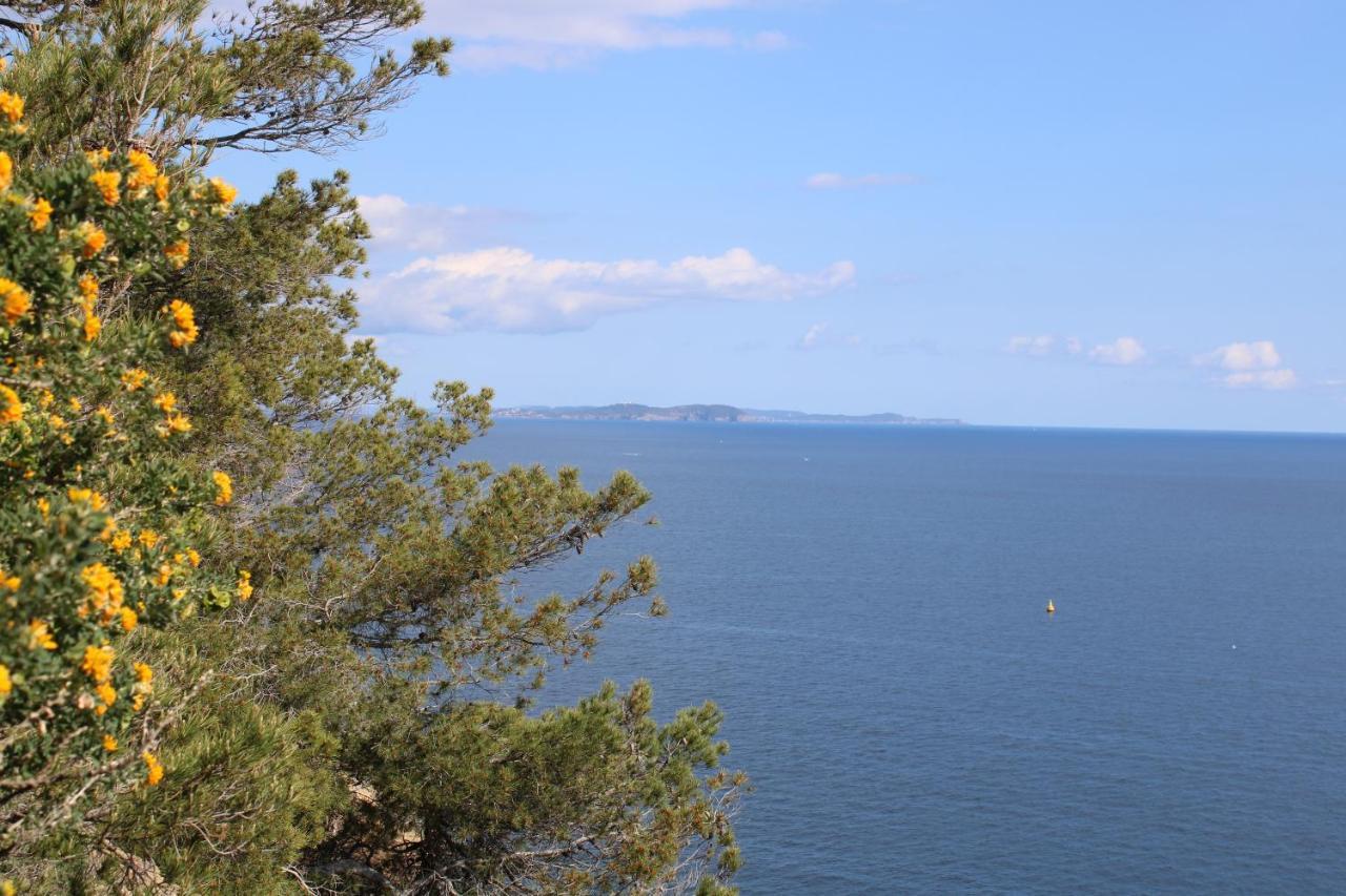 Studio L'Echappee Mandreenne Le Calme Entre Mer Et Foret Saint-Mandrier-sur-Mer Zewnętrze zdjęcie